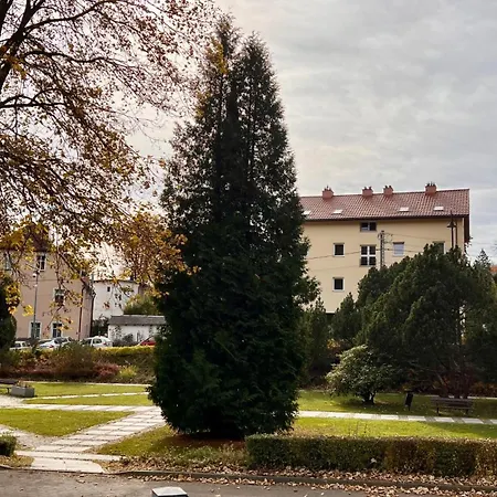 W Centrum Uzdrowiska