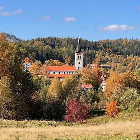 Apartament W Centrum Uzdrowiska Jedlina-Zdroj