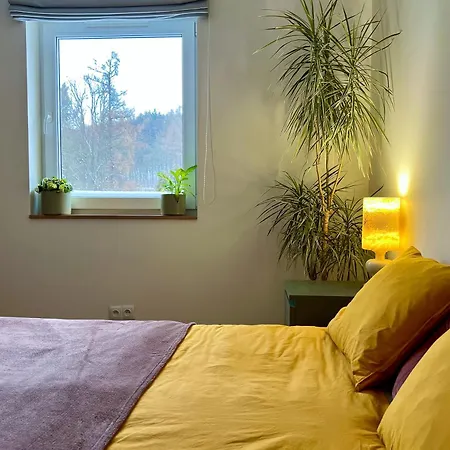 W Centrum Uzdrowiska * Jedlina-Zdroj