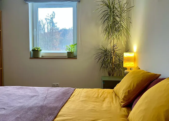 W Centrum Uzdrowiska * Jedlina-Zdrój